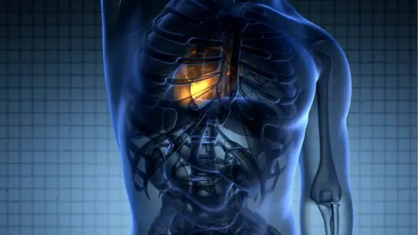 explainer videos medical and healthcare