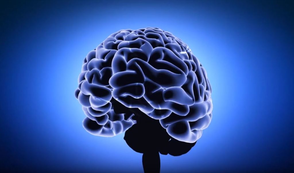 אנימציית תלת מימד לעסק