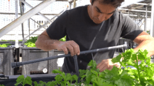 סרטון תדמית אנרגיה סולארית: התקנת גגות סולאריים